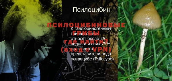 ALPHA-PVP Абинск
